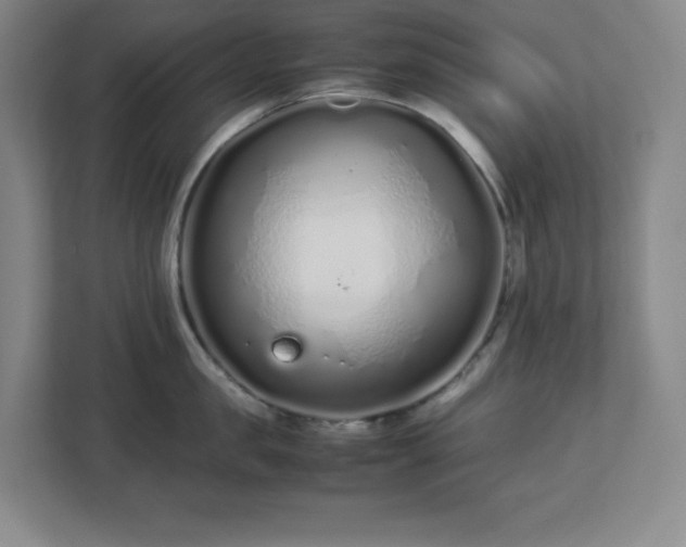 X0000113040957200909031309