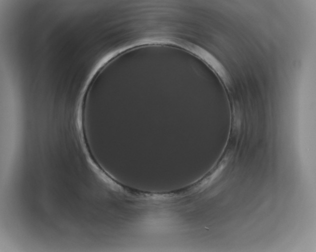 X0000113040958200909031309