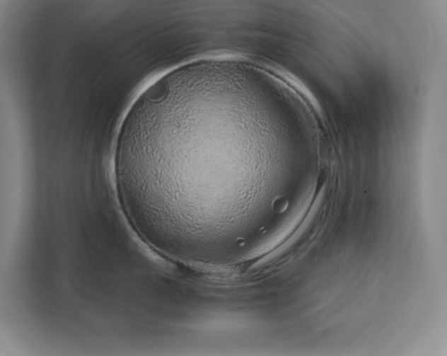 X0000113040959200909031309