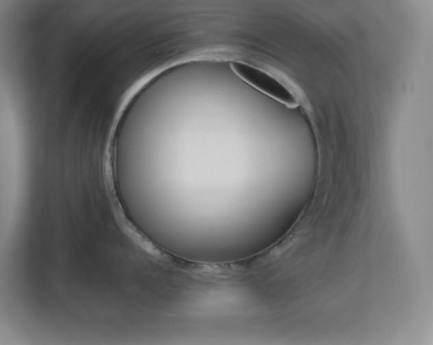 X0000113040960200909031309