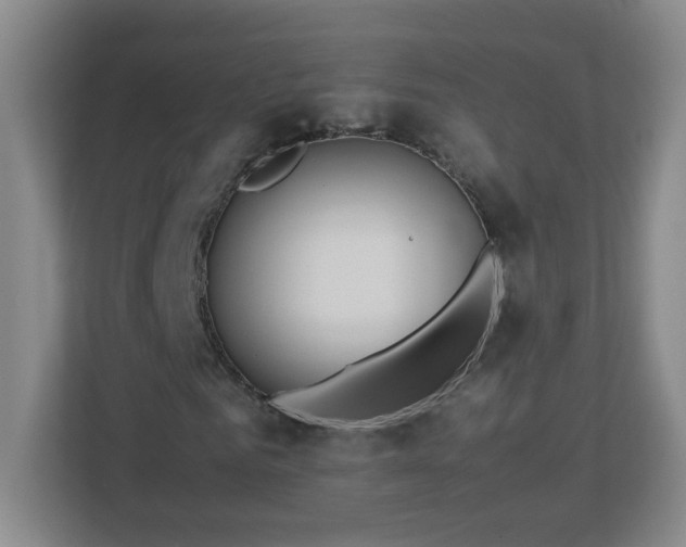 X0000113040961200909031308