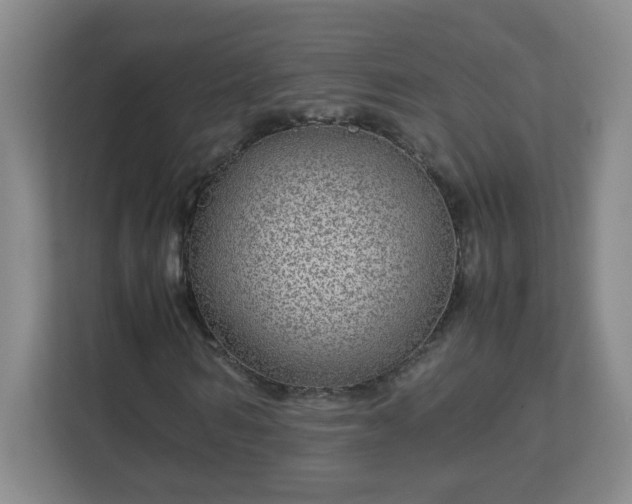 X0000113040962200909031308