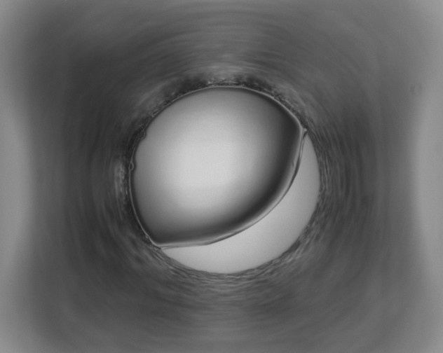 X0000113040964200909031308