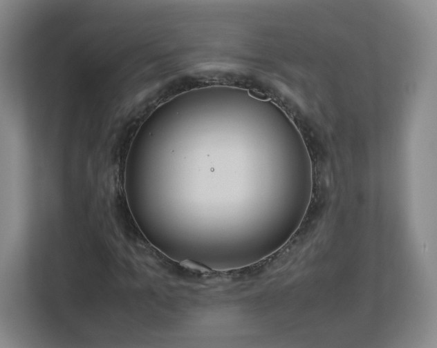 X0000113040965200909031308