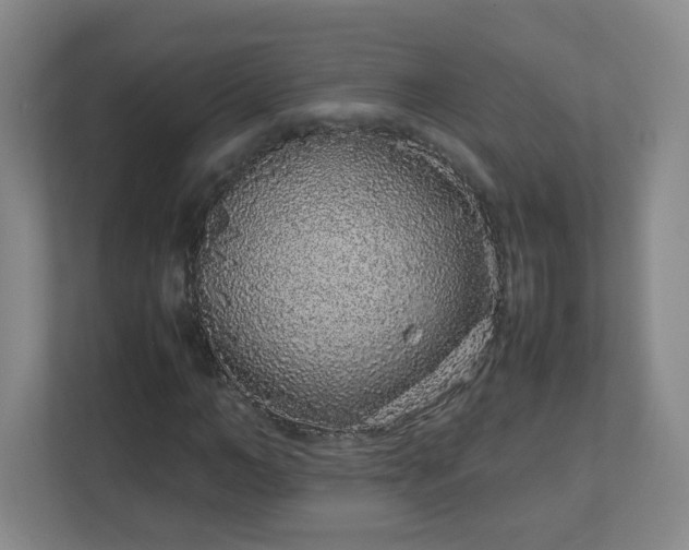 X0000113040966200909031308