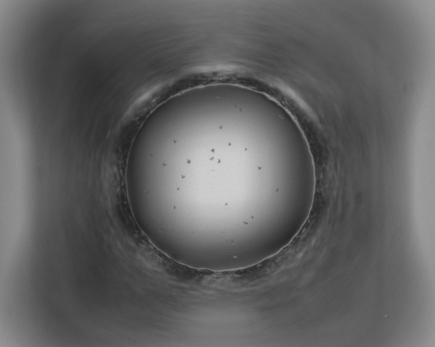 X0000113040967200909031308