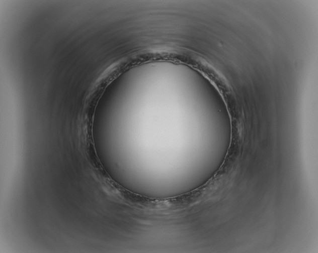 X0000113040968200909031308