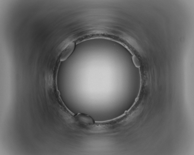 X0000113040969200909031308