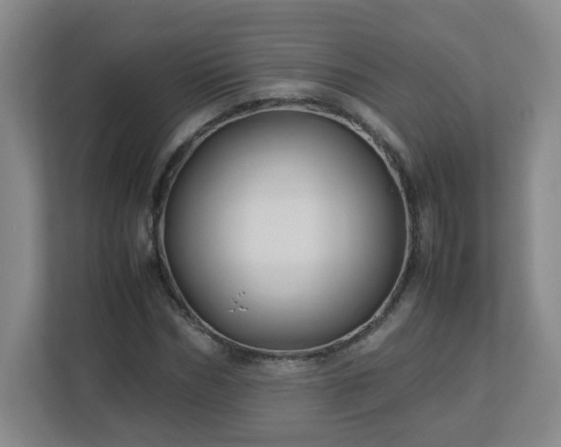 X0000113040970200909031308