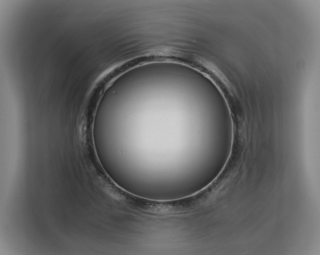 X0000113040971200909031308