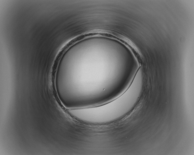 X0000113040972200909031308