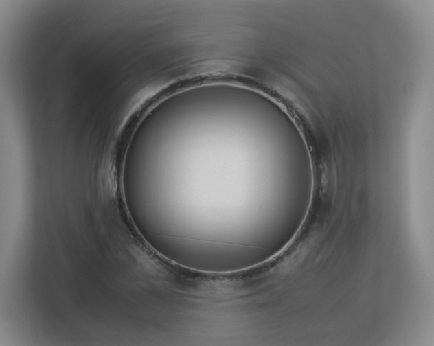 X0000113040973200909031308