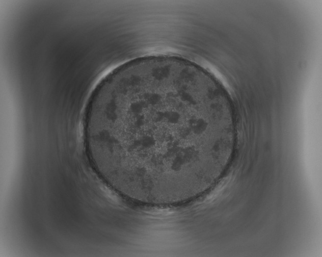 X0000113040975200909031308