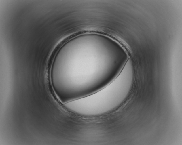 X0000113040976200909031308