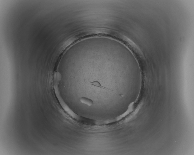 X0000113040977200909031308