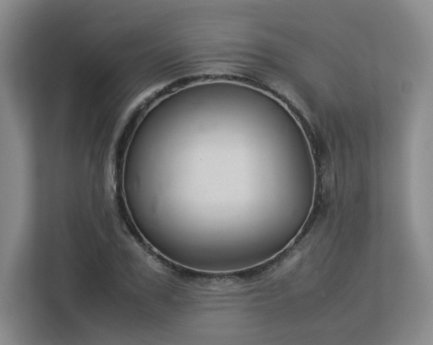 X0000113040979200909031308