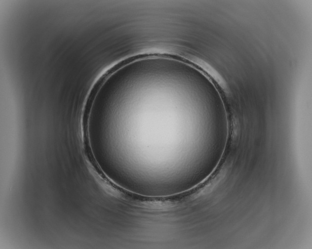 X0000113040980200909031308