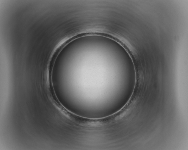 X0000113040982200909031308