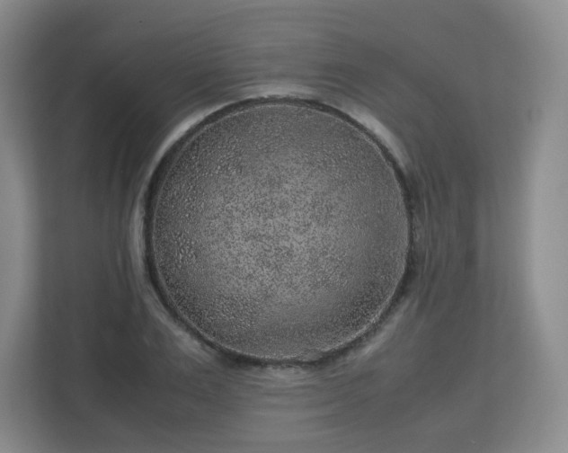 X0000113040983200909031308