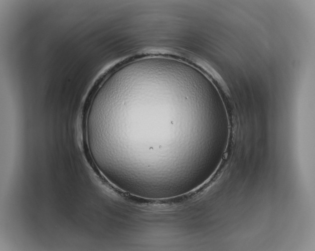 X0000113040984200909031308