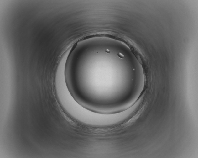 X0000113040985200909031308