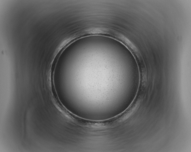 X0000113040986200909031308