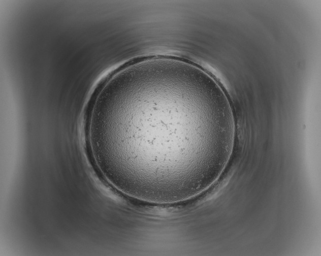 X0000113040987200909031308