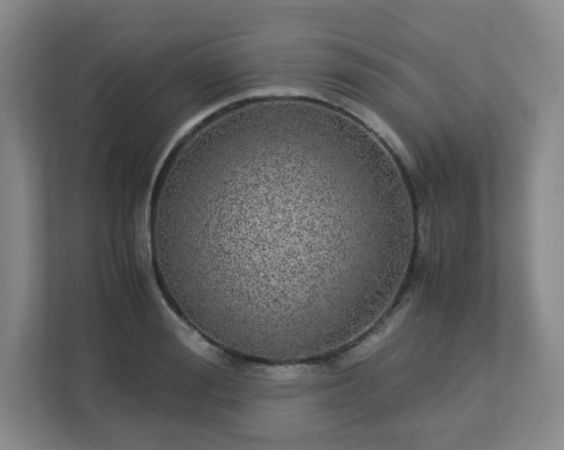 X0000113040988200909031308