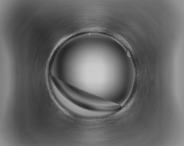 X0000113040989200909031308