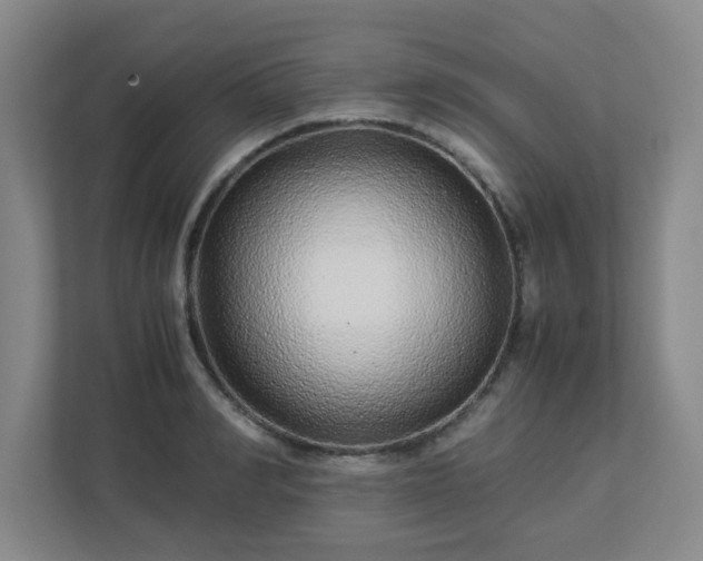 X0000113040990200909031308