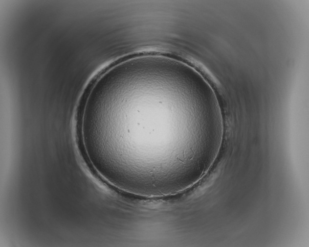 X0000113040991200909031308