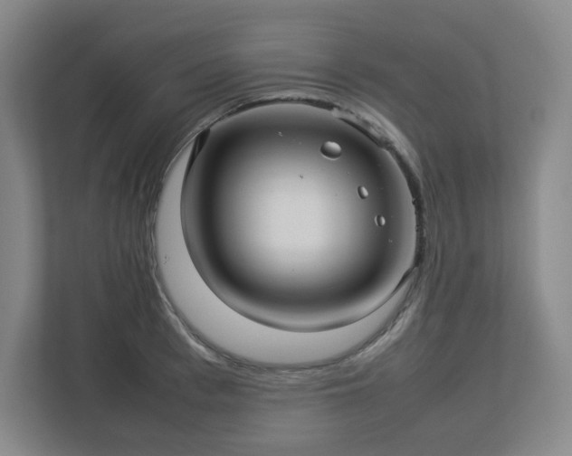 X0000113040993200909031308