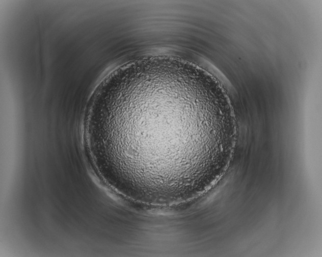 X0000113040994200909031308