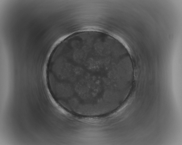 X0000113040995200909031308