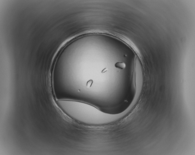 X0000113040996200909031308