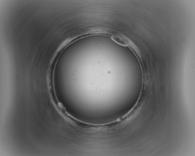 X0000113040997200909031308