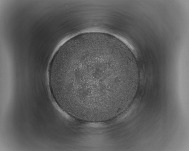 X0000113040998200909031308