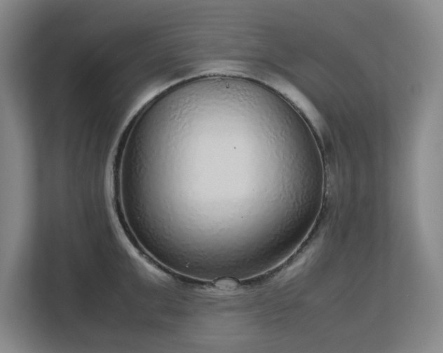 X0000113040999200909031308