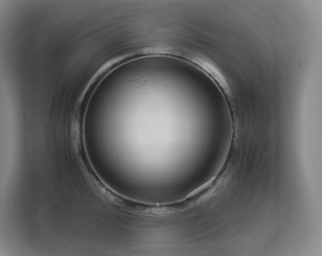 X0000113041000200909031308