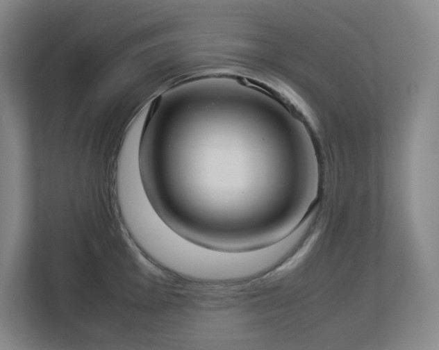 X0000113041001200909031308