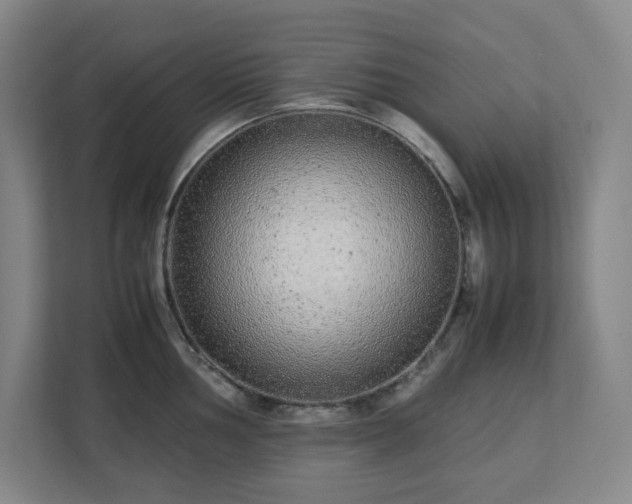 X0000113041002200909031308