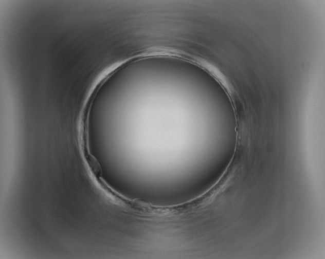 X0000113041003200909031308