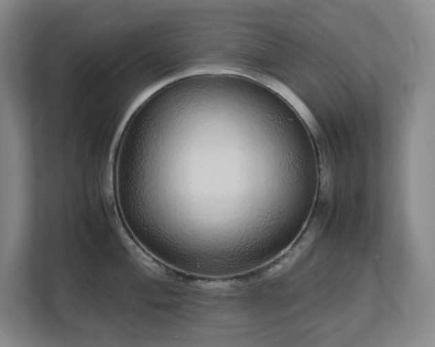 X0000113041004200909031308