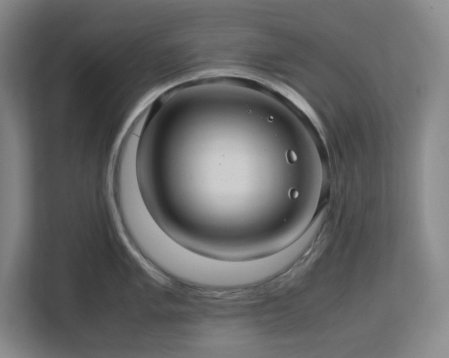 X0000113041005200909031308