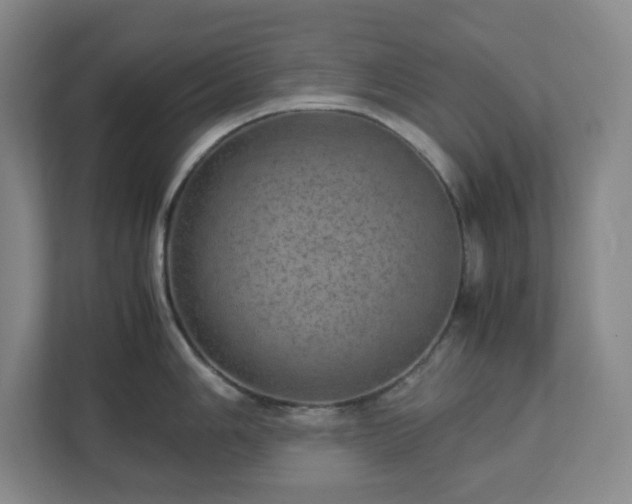 X0000113041006200909031308