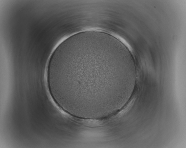 X0000113041007200909031308