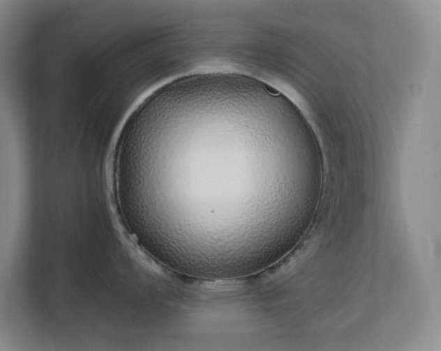 X0000113041008200909031308