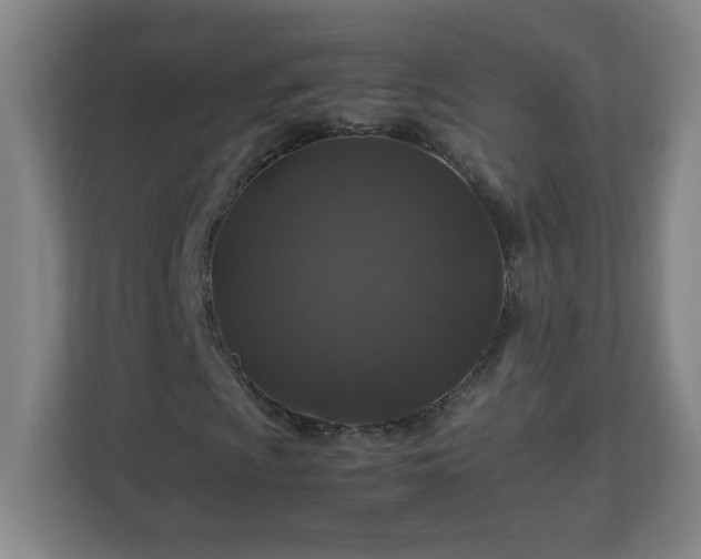 X0000113041009200909031307