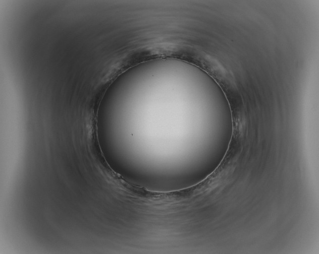 X0000113041012200909031307