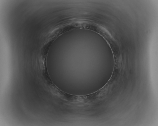 X0000113041013200909031307